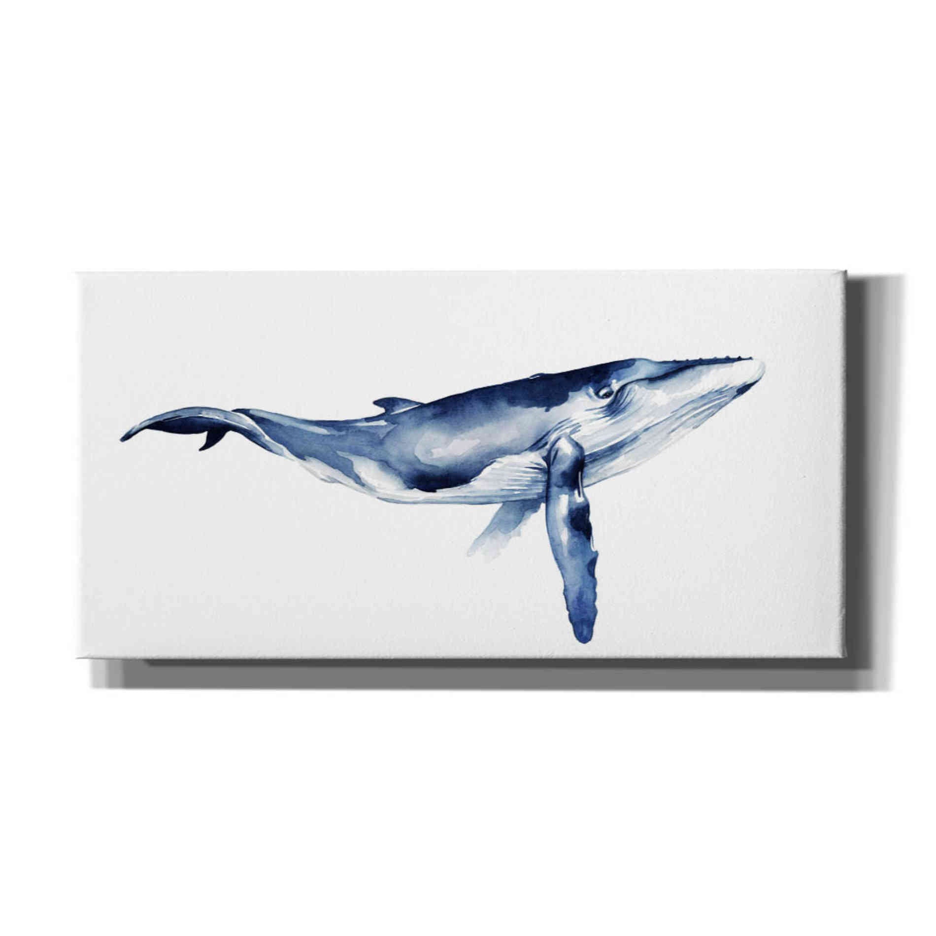 'Whale Portrait I' by Grace Popp, Canvas Wall Art