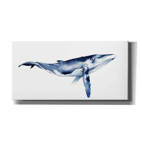 Image of 'Whale Portrait I' by Grace Popp, Canvas Wall Art