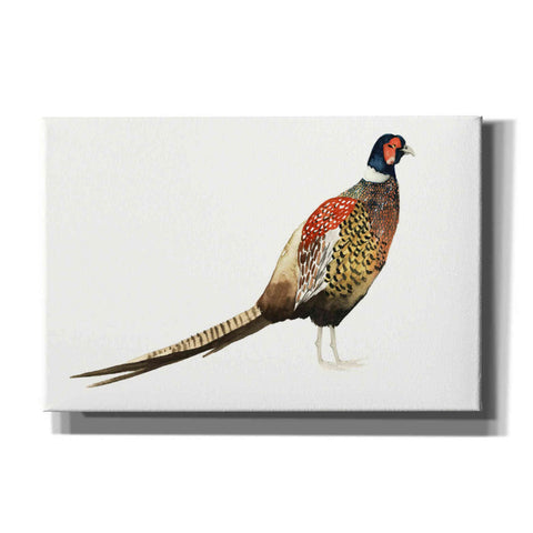 Image of 'Watercolor Pheasant I' by Grace Popp, Canvas Wall Art