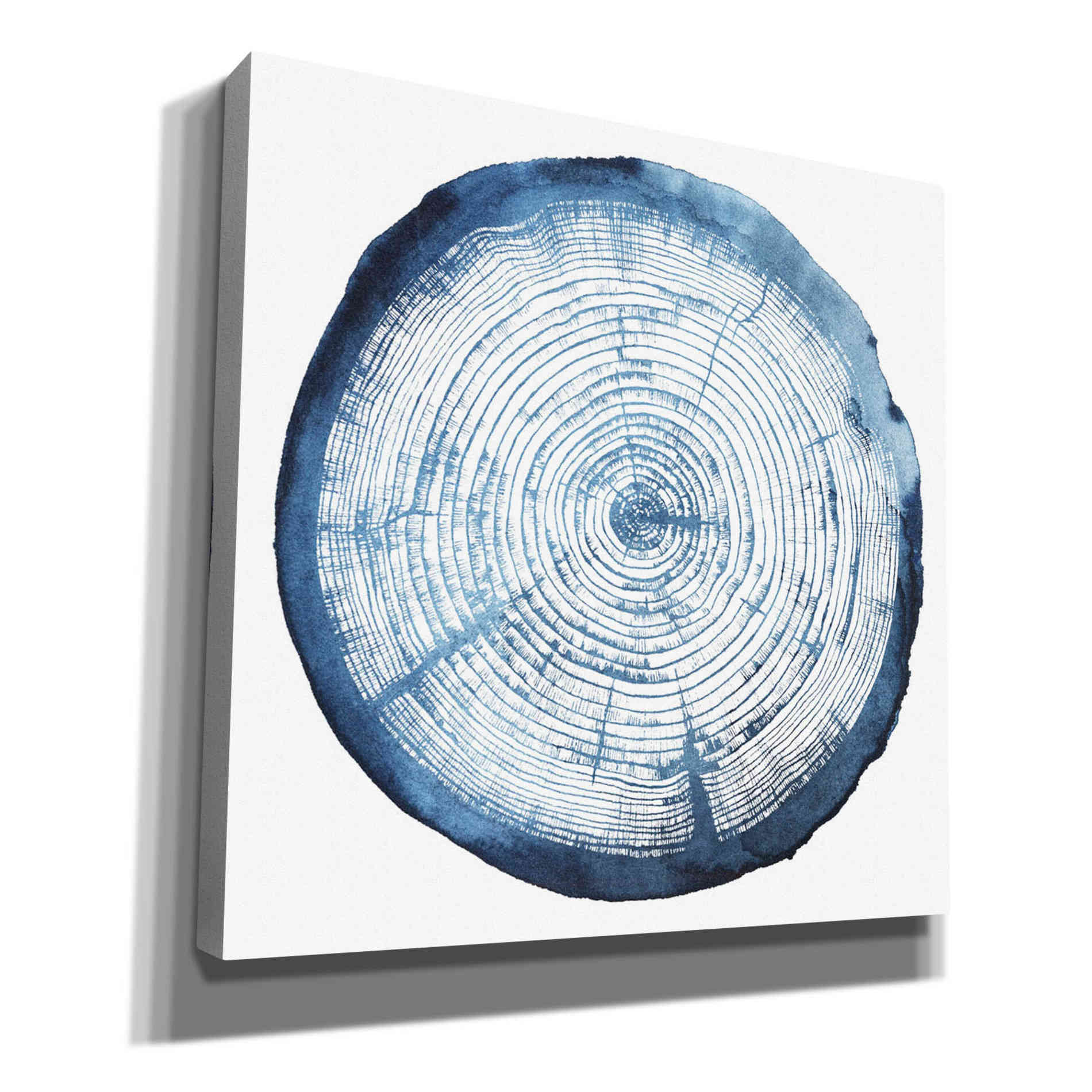'Tree Ring Overlay I' by Grace Popp, Canvas Wall Art