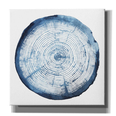 Image of 'Tree Ring Overlay I' by Grace Popp, Canvas Wall Art