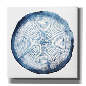 'Tree Ring Overlay I' by Grace Popp, Canvas Wall Art