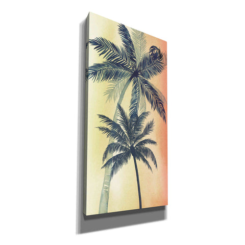 Image of 'Vintage Palms II' by Grace Popp, Canvas Wall Art