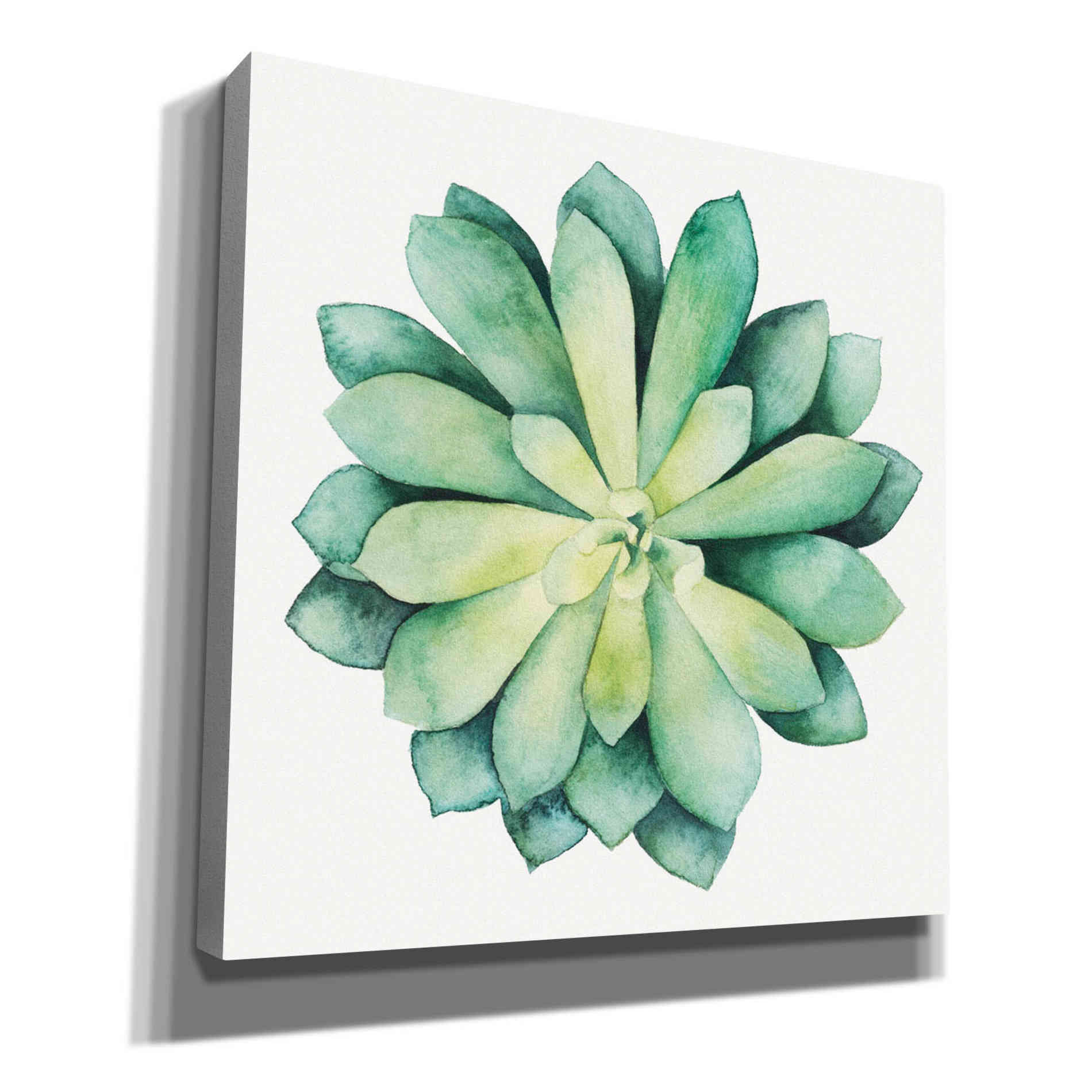 'Tropical Plant VI' by Grace Popp, Canvas Wall Art