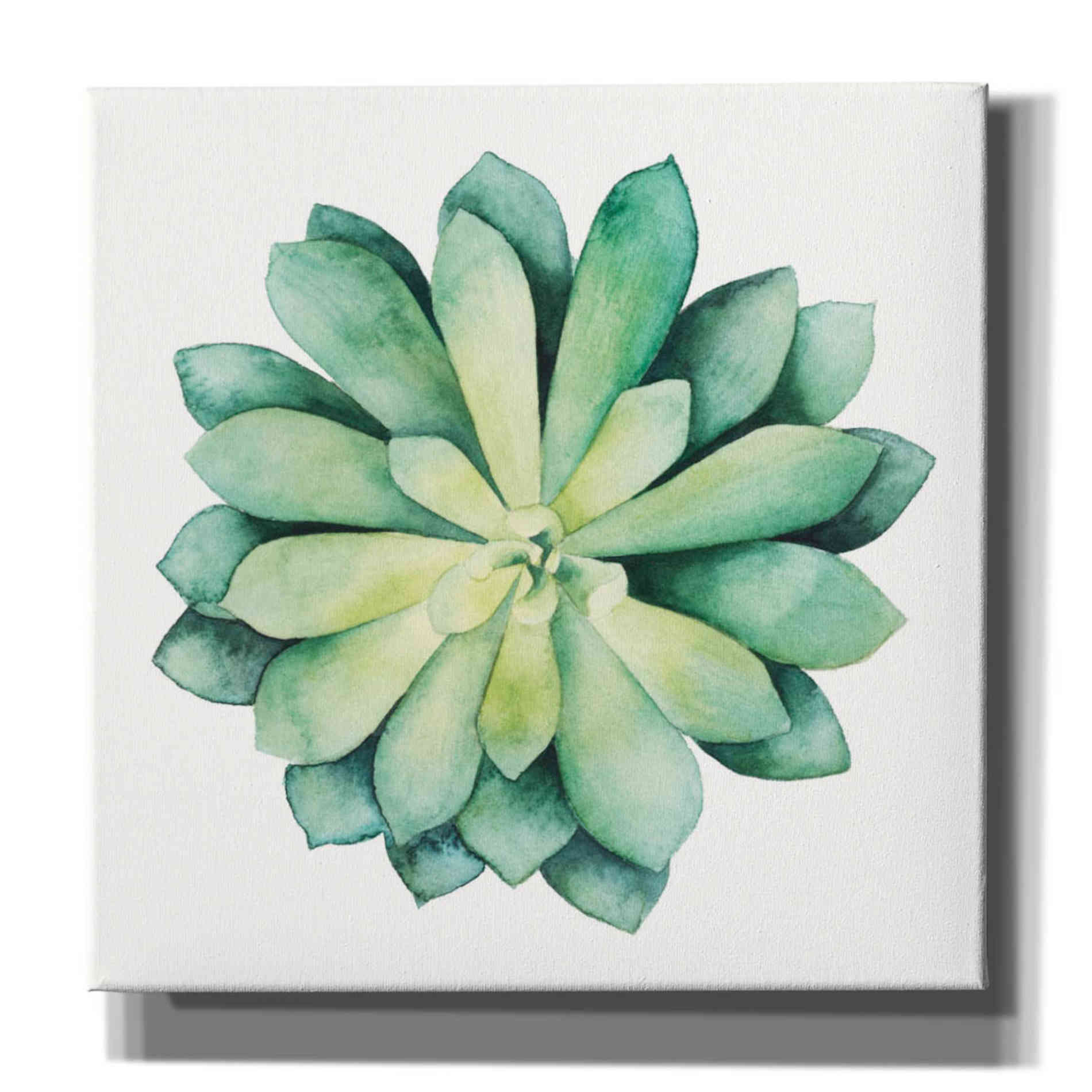 'Tropical Plant VI' by Grace Popp, Canvas Wall Art