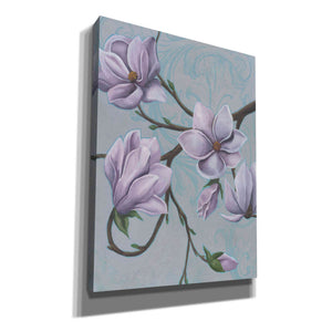 'Branches of Magnolia I' by Grace Popp, Canvas Wall Art