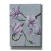 'Branches of Magnolia I' by Grace Popp, Canvas Wall Art