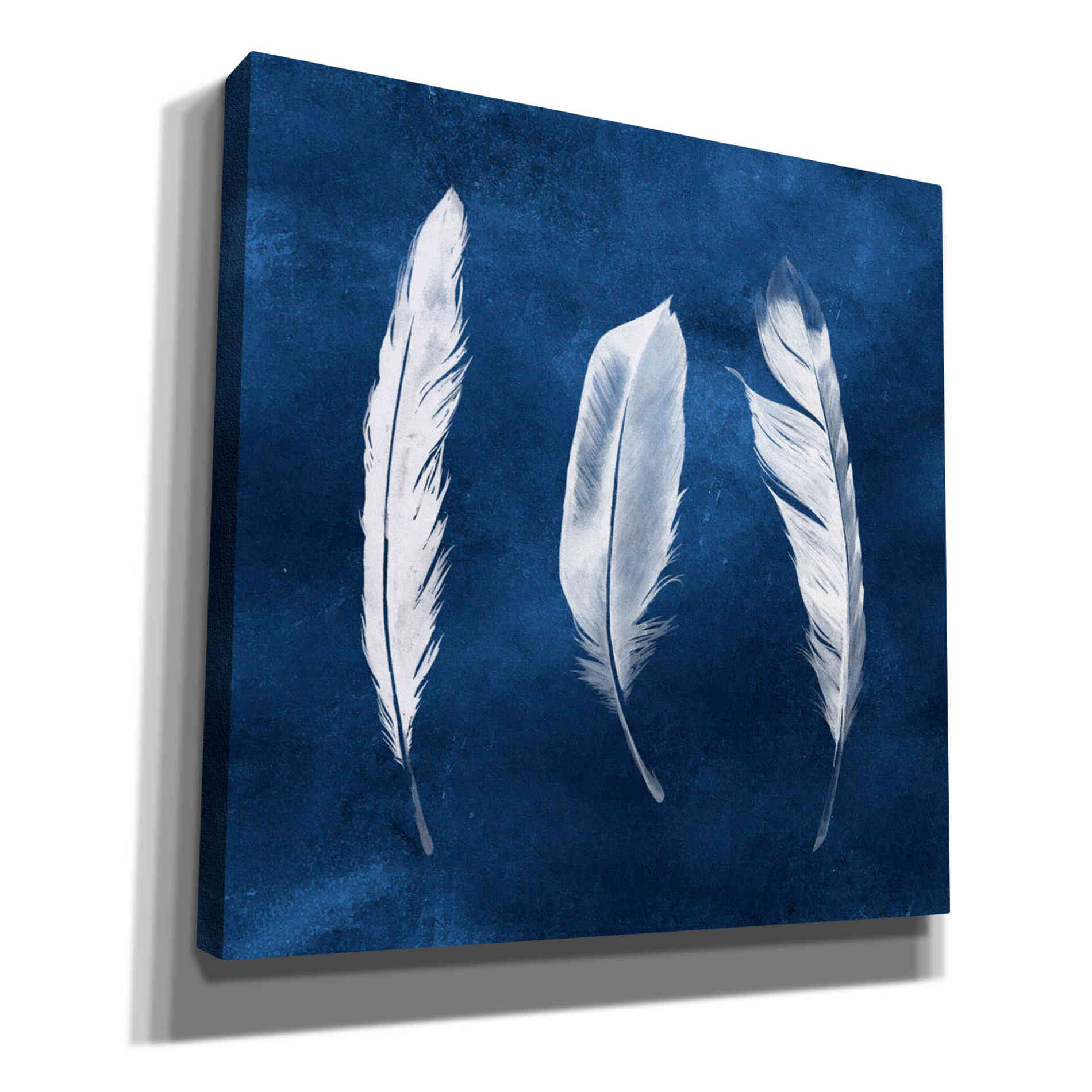 'Cyanotype Feathers II' by Grace Popp, Canvas Wall Art
