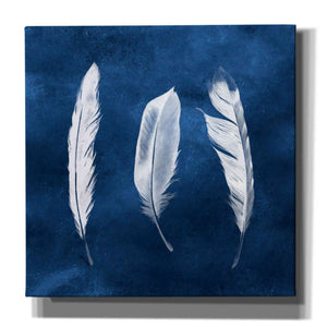 'Cyanotype Feathers II' by Grace Popp, Canvas Wall Art