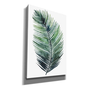 'Untethered Palm VII I' by Grace Popp, Canvas Wall Art