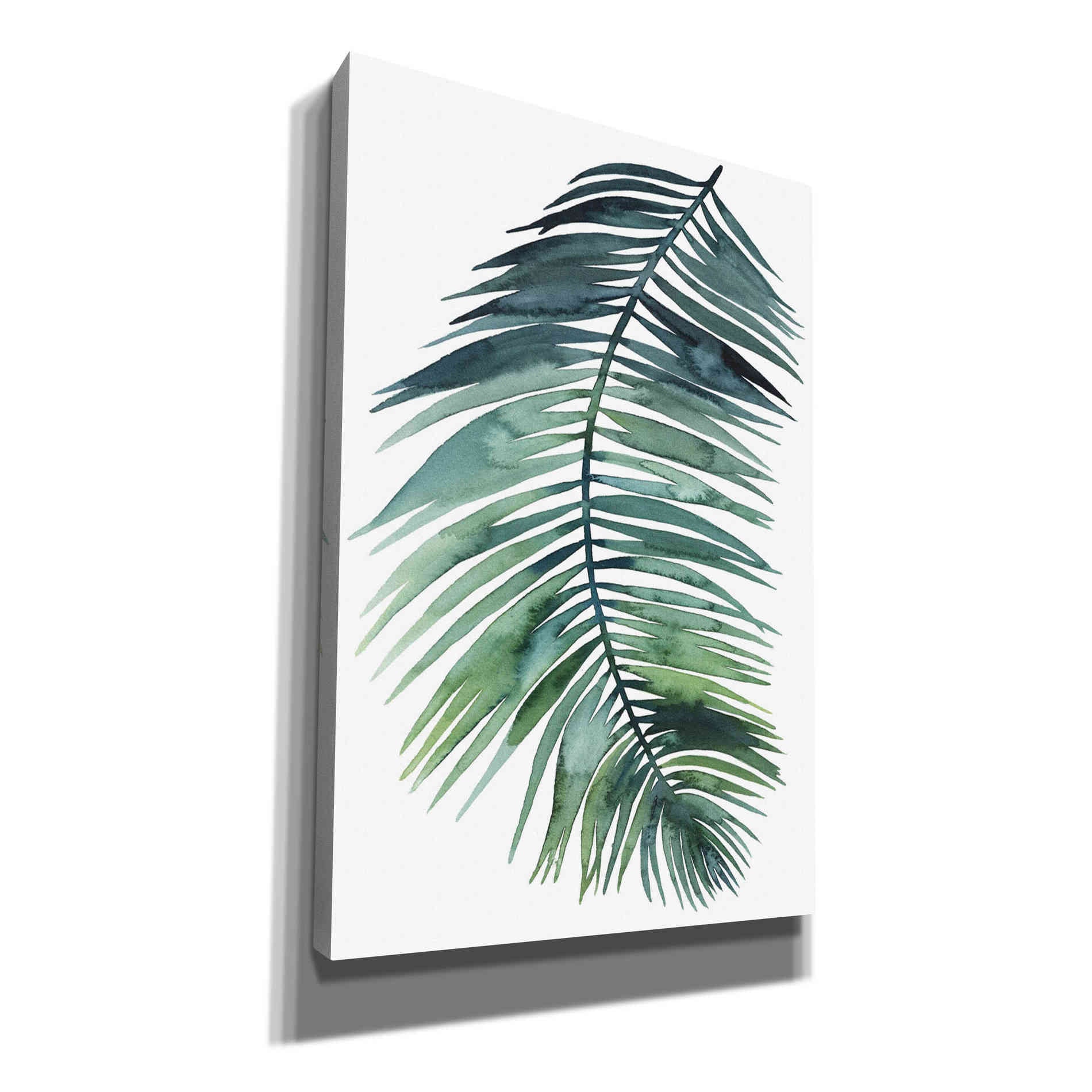 'Untethered Palm VII II' by Grace Popp, Canvas Wall Art