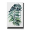 'Untethered Palm VII II' by Grace Popp, Canvas Wall Art