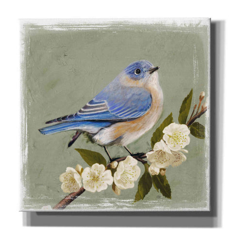 Image of 'Bluebird Branch I' by Victoria Borges, Canvas Wall Art