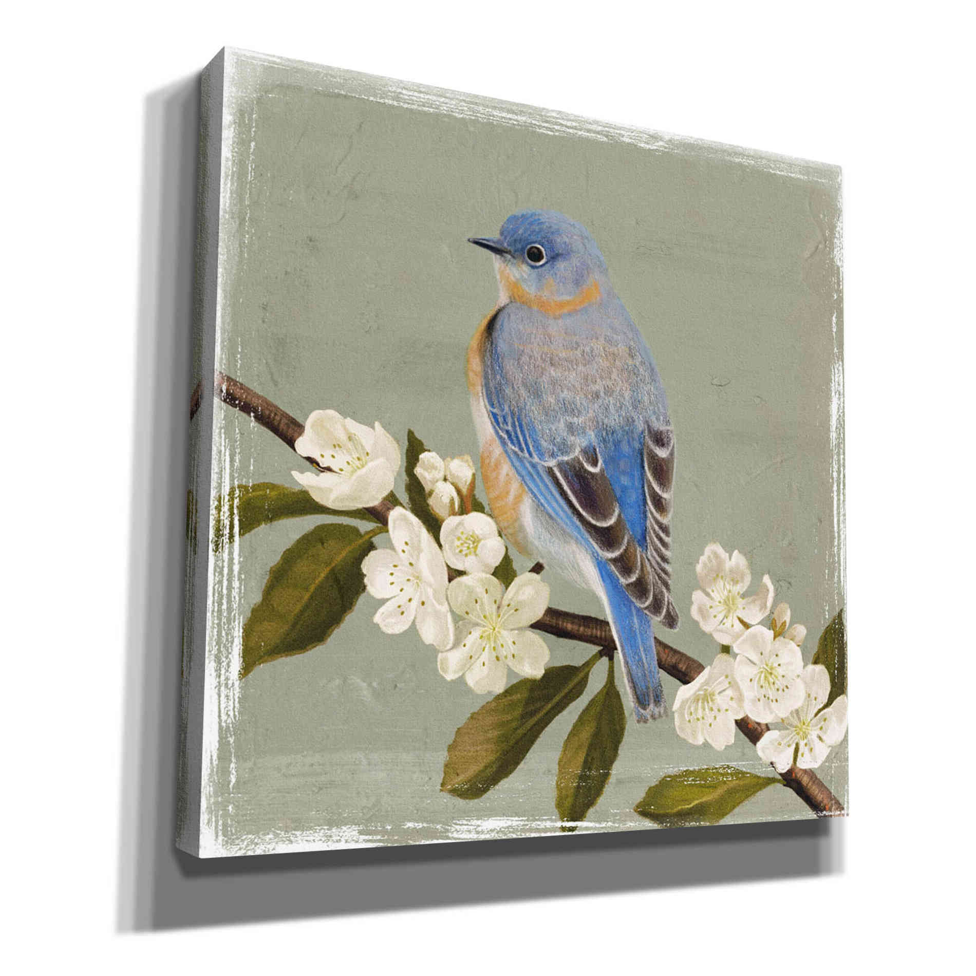 'Bluebird Branch II' by Victoria Borges, Canvas Wall Art