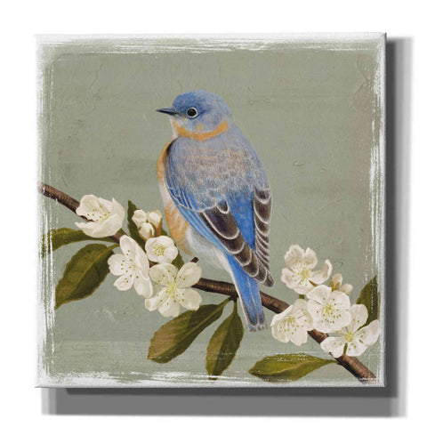 Image of 'Bluebird Branch II' by Victoria Borges, Canvas Wall Art