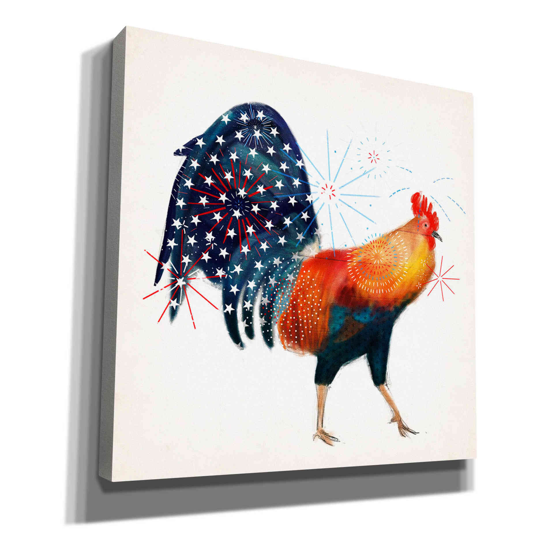 'Rooster Fireworks II' by Victoria Borges, Canvas Wall Art