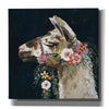 'Lovely Llama II' by Victoria Borges, Canvas Wall Art