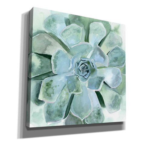'Verdant Succulent III' by Victoria Borges, Canvas Wall Art
