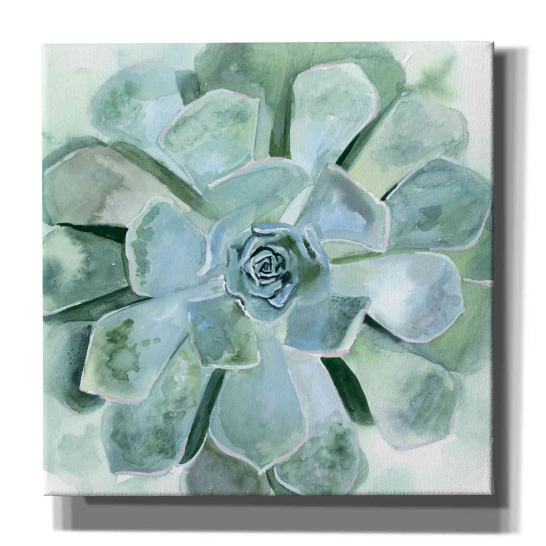 'Verdant Succulent III' by Victoria Borges, Canvas Wall Art