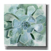 'Verdant Succulent III' by Victoria Borges, Canvas Wall Art