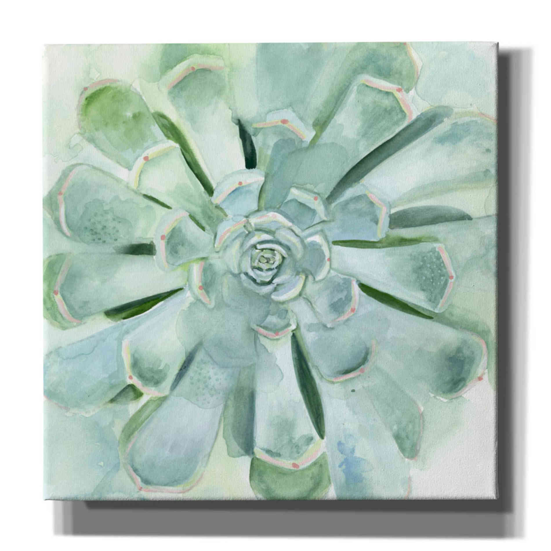 abstract succulent painting 'Verdant Succulent IV' by Victoria Borges, Canvas Wall Art