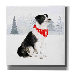 'Christmas Cats & Dogs II' by Victoria Borges, Canvas Wall Art