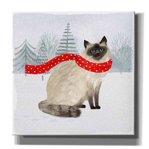 Image of 'Christmas Cats & Dogs III' by Victoria Borges, Canvas Wall Art