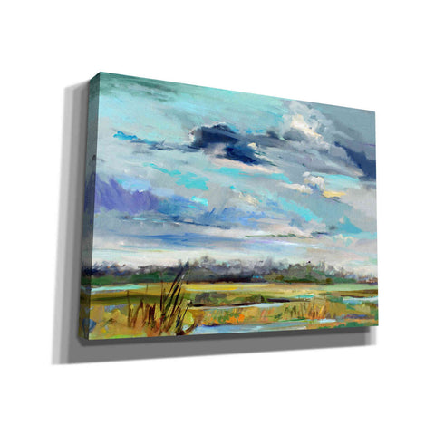 Image of 'Marsh Skies' by Carol Hallock, Canvas Wall Art