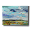 'Marsh Skies' by Carol Hallock, Canvas Wall Art