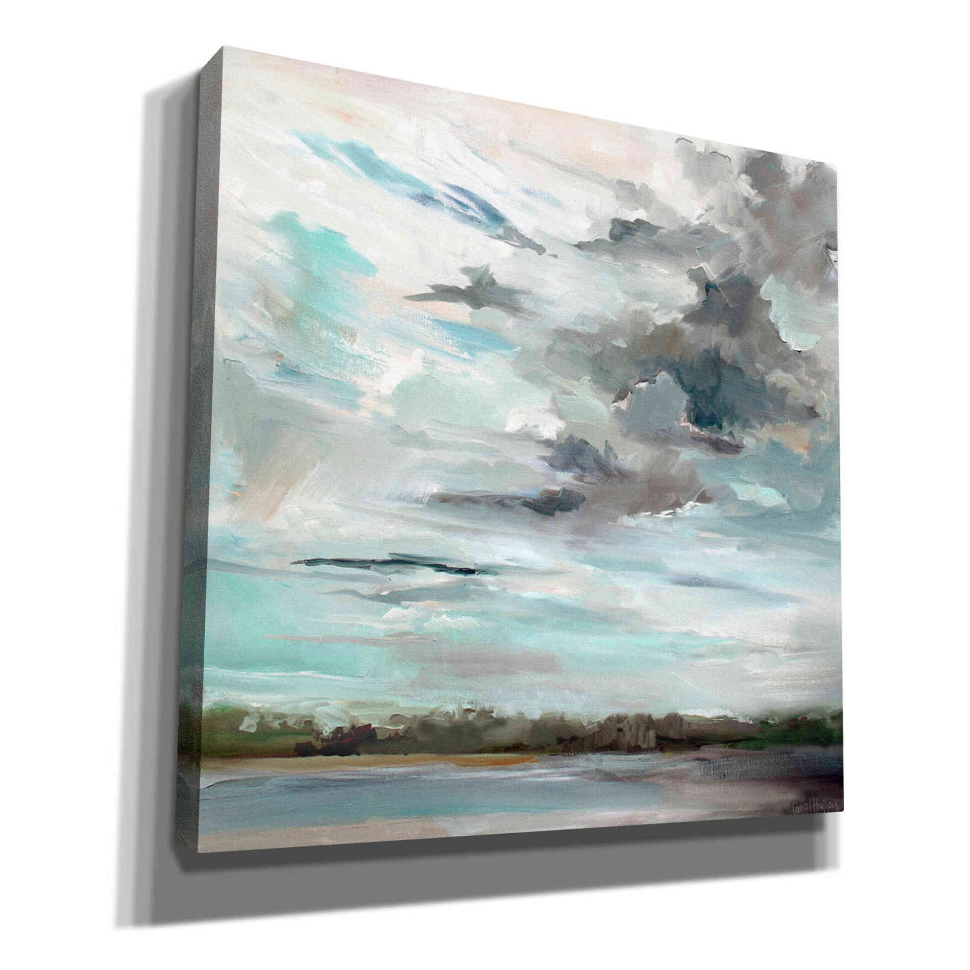'Cloudy Days Don't Get Me Down' by Carol Hallock, Canvas Wall Art