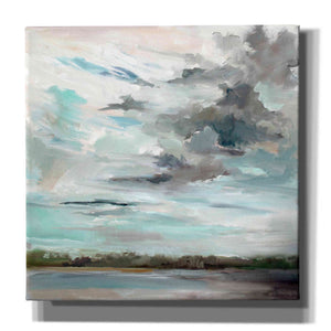 'Cloudy Days Don't Get Me Down' by Carol Hallock, Canvas Wall Art