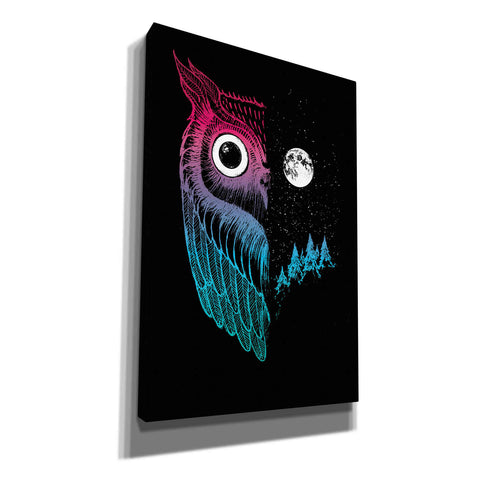 Image of 'Night Owl' by Michael Buxton, Canvas Wall Art