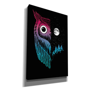 'Night Owl' by Michael Buxton, Canvas Wall Art