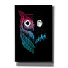 'Night Owl' by Michael Buxton, Canvas Wall Art