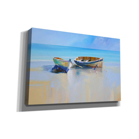 Image of 'Afternoon Gulls' by Craig Trewin Penny, Canvas Wall Art