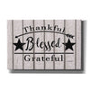 'Blessed Thankful Grateful' by Linda Spivey, Canvas Wall Art