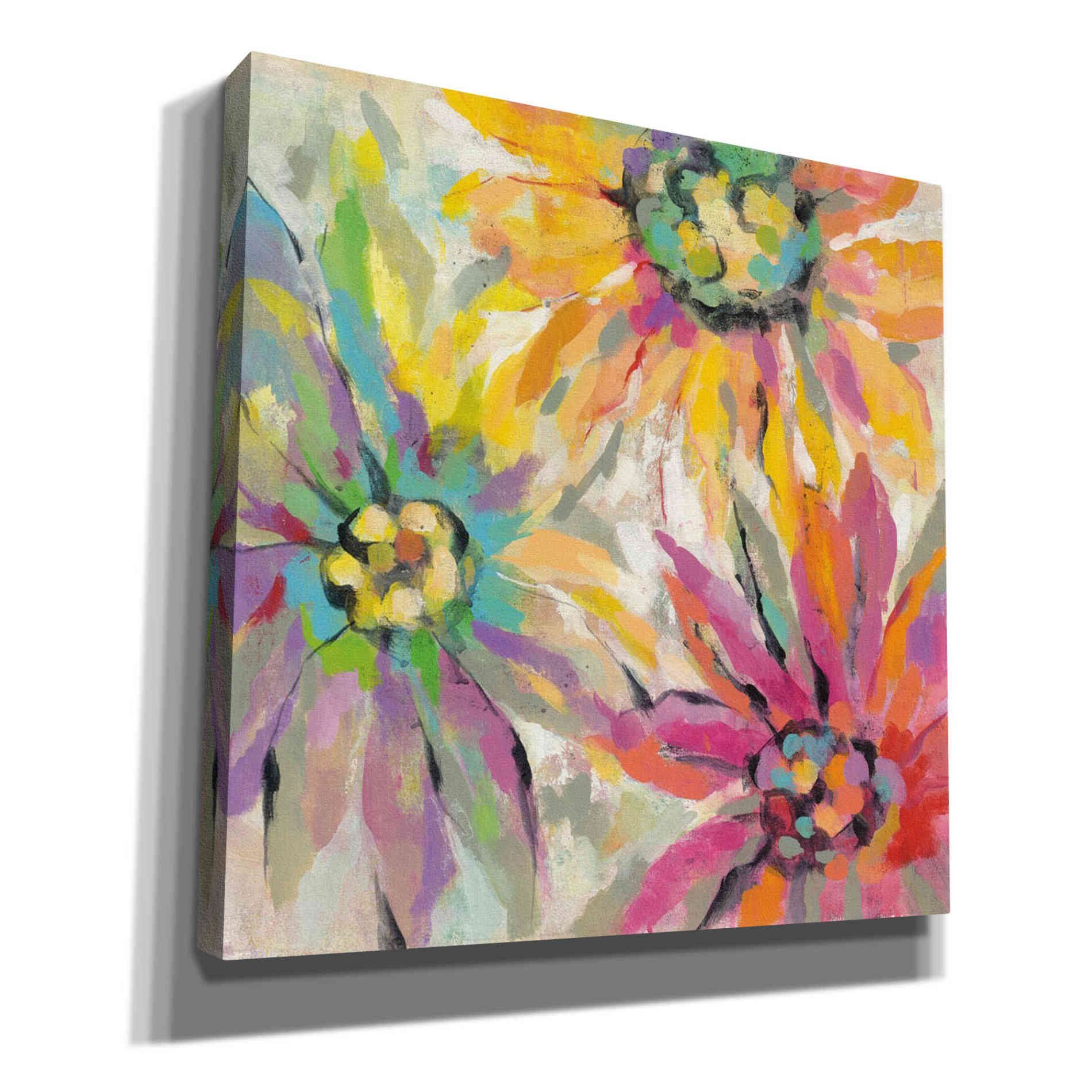 'Abstracted Petals I' by Silvia Vassileva, Canvas Wall Art,Size 1 Square
