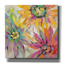 'Abstracted Petals I' by Silvia Vassileva, Canvas Wall Art,Size 1 Square