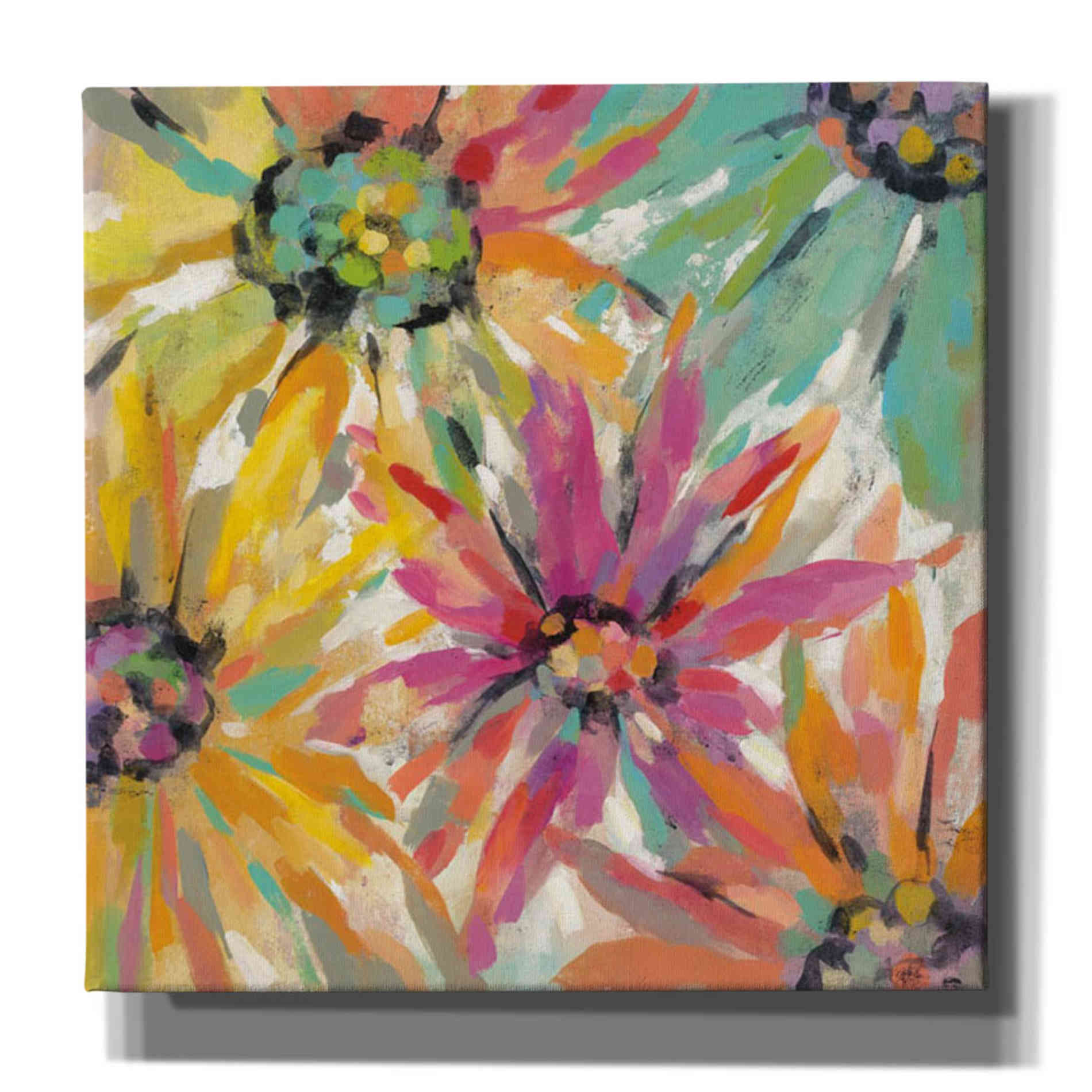 'Abstracted Petals II' by Silvia Vassileva, Canvas Wall Art,Size 1 Square