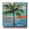 'California Palm II' by Silvia Vassileva, Canvas Wall Art,Size 1 Square