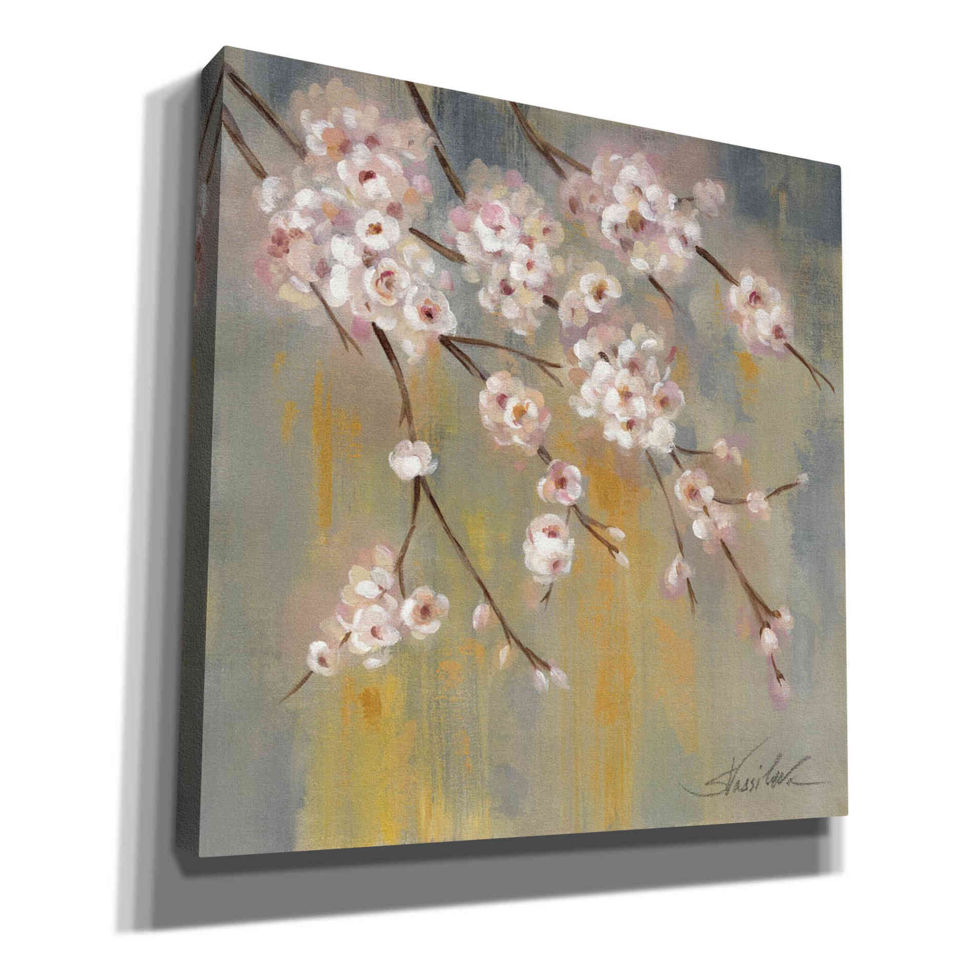 'Cherry Cloud II' by Silvia Vassileva, Canvas Wall Art,Size 1 Square