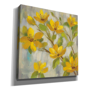 'Golden Bloom I' by Silvia Vassileva, Canvas Wall Art,Size 1 Square
