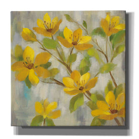 'Golden Bloom I' by Silvia Vassileva, Canvas Wall Art,Size 1 Square