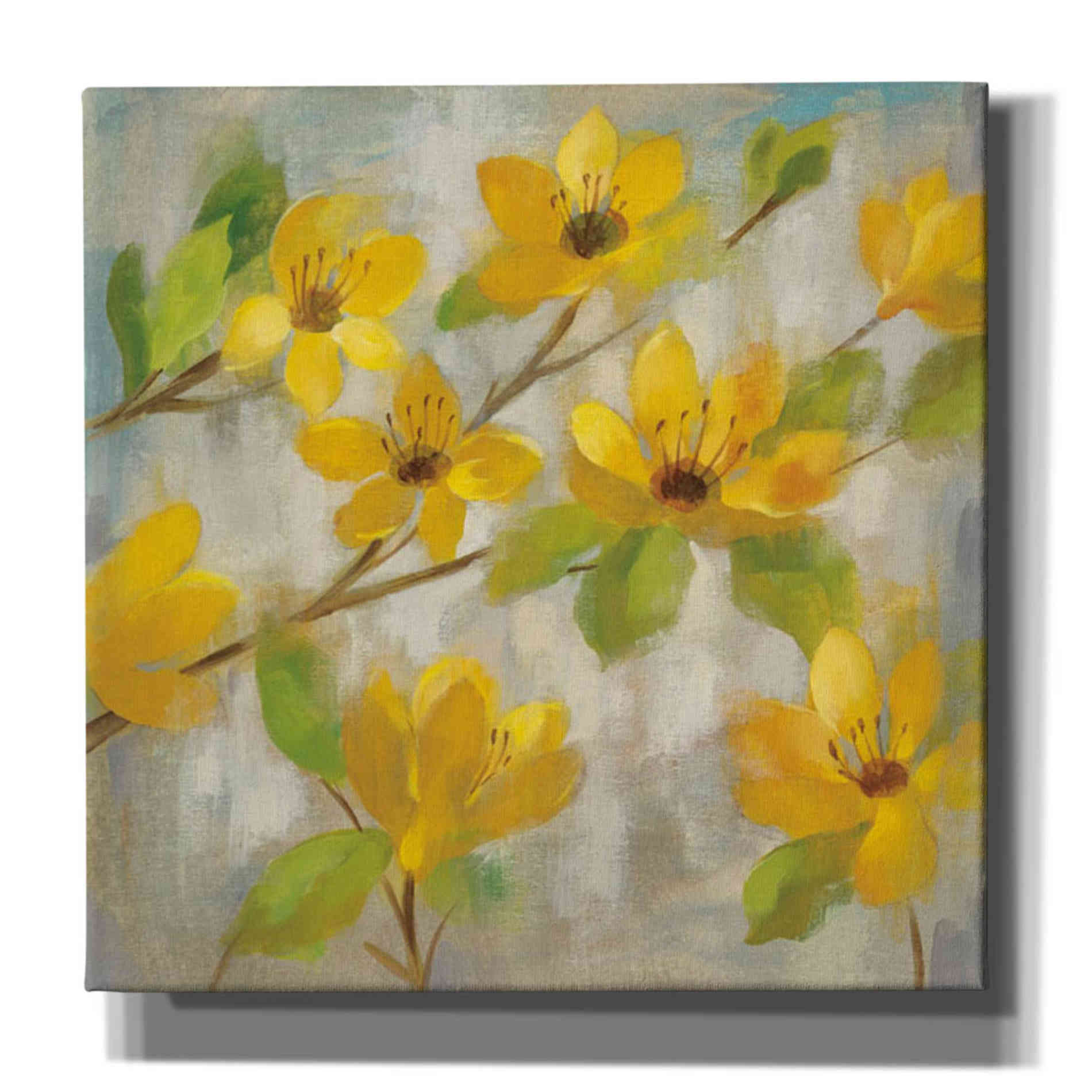 'Golden Bloom II' by Silvia Vassileva, Canvas Wall Art,Size 1 Square