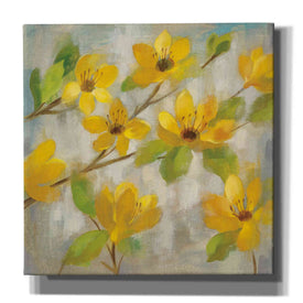 'Golden Bloom II' by Silvia Vassileva, Canvas Wall Art,Size 1 Square