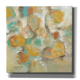 'Sunshine Reflections' by Silvia Vassileva, Canvas Wall Art,Size 1 Square