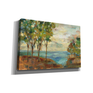 "View of the Lake" by Silvia Vassileva, Canvas Wall Art,Size A Landscape