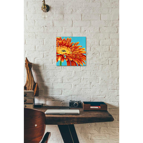 Image of 'Color Bursts I' by Carolee Vitaletti, Giclee Canvas Wall Art