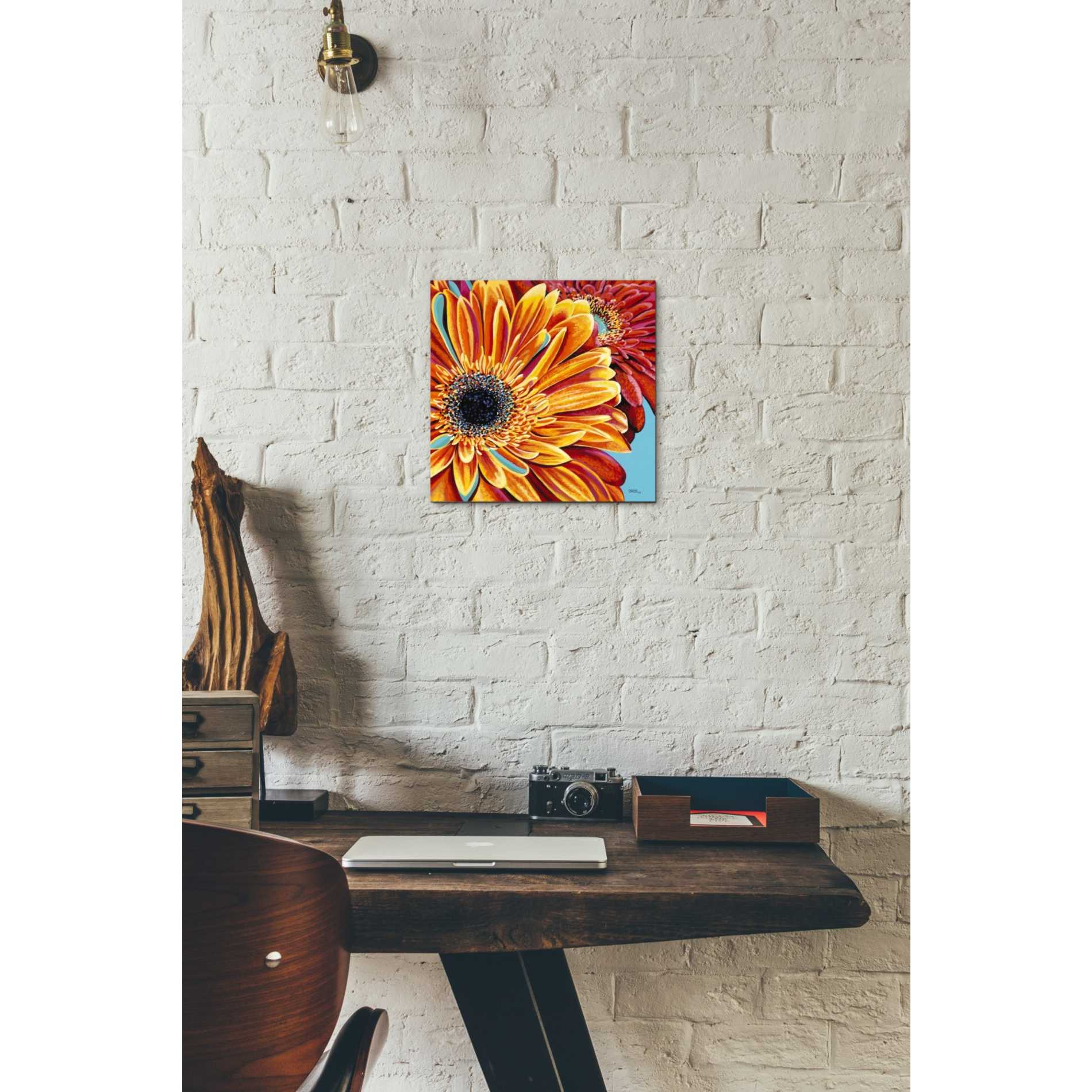 'Color Bursts II' by Carolee Vitaletti, Giclee Canvas Wall Art