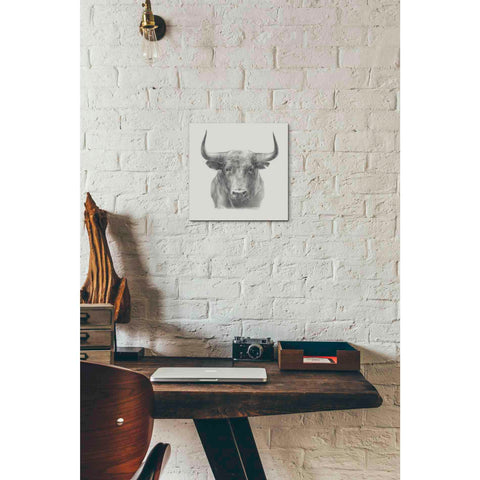 Image of 'Black Bull' by Ethan Harper, Canvas Wall Art,12 x 12